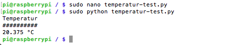 Temperatur Ausgabe